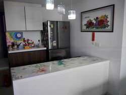 Riversound Residence (D19), Condominium #483786141